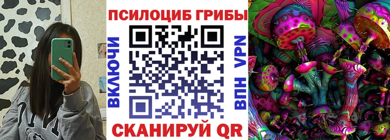 Псилоцибиновые грибы MAGIC MUSHROOMS  Шенкурск 